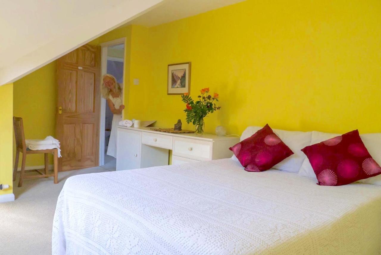 Healing Waters Sanctuary For Exclusive Private Hire And Self Catering Board, Vegetarian, Alcohol & Wifi Free Retreat In Glastonbury Bed & Breakfast Dış mekan fotoğraf