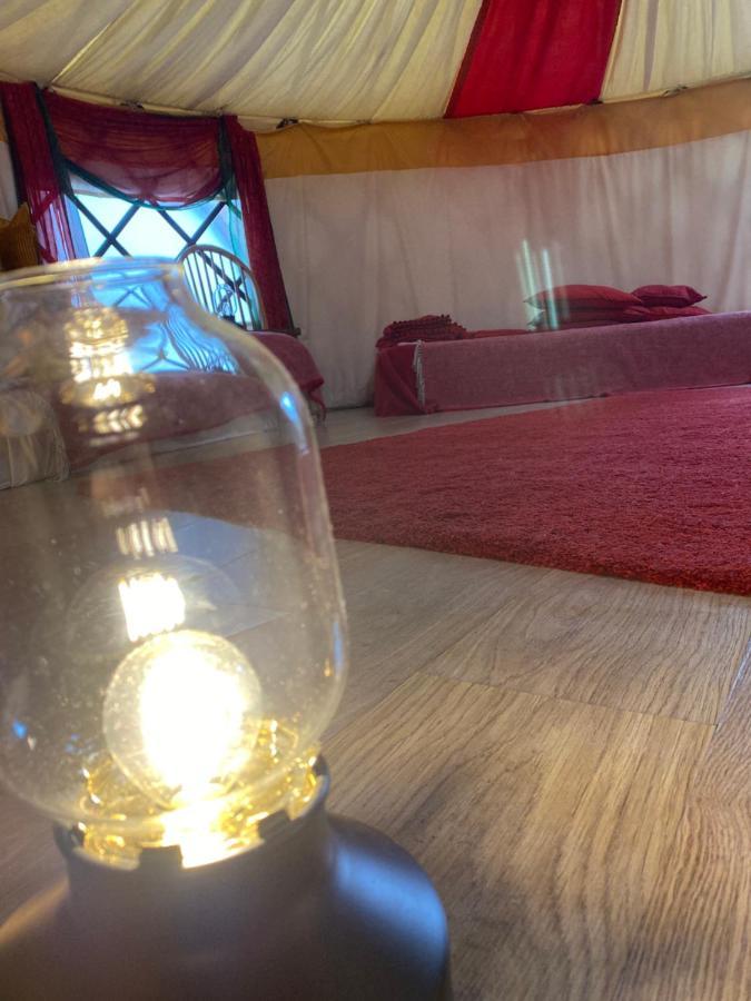 Healing Waters Sanctuary For Exclusive Private Hire And Self Catering Board, Vegetarian, Alcohol & Wifi Free Retreat In Glastonbury Dış mekan fotoğraf