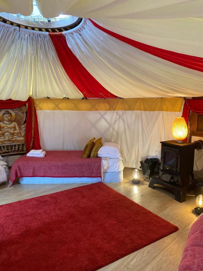 Healing Waters Sanctuary For Exclusive Private Hire And Self Catering Board, Vegetarian, Alcohol & Wifi Free Retreat In Glastonbury Bed & Breakfast Dış mekan fotoğraf