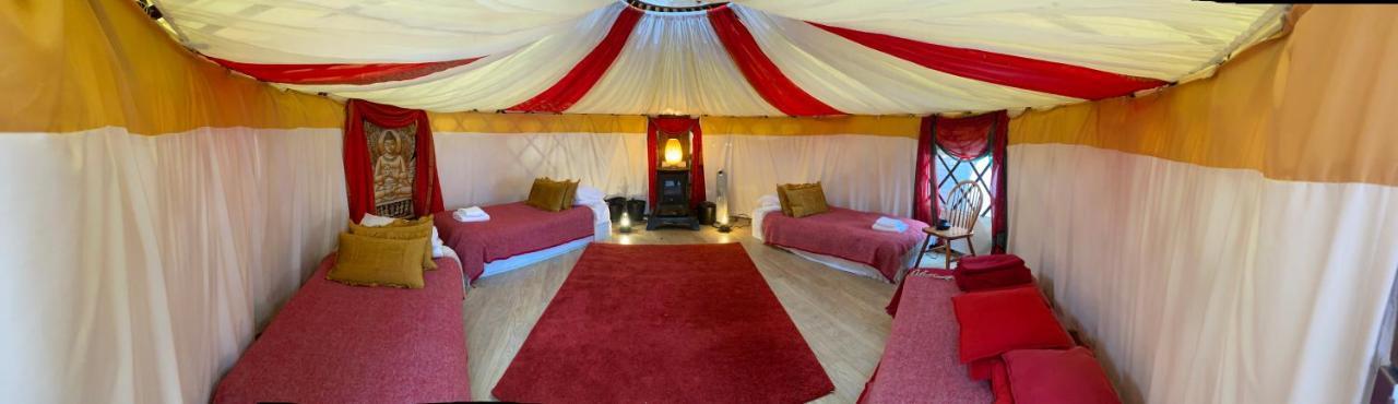 Healing Waters Sanctuary For Exclusive Private Hire And Self Catering Board, Vegetarian, Alcohol & Wifi Free Retreat In Glastonbury Dış mekan fotoğraf