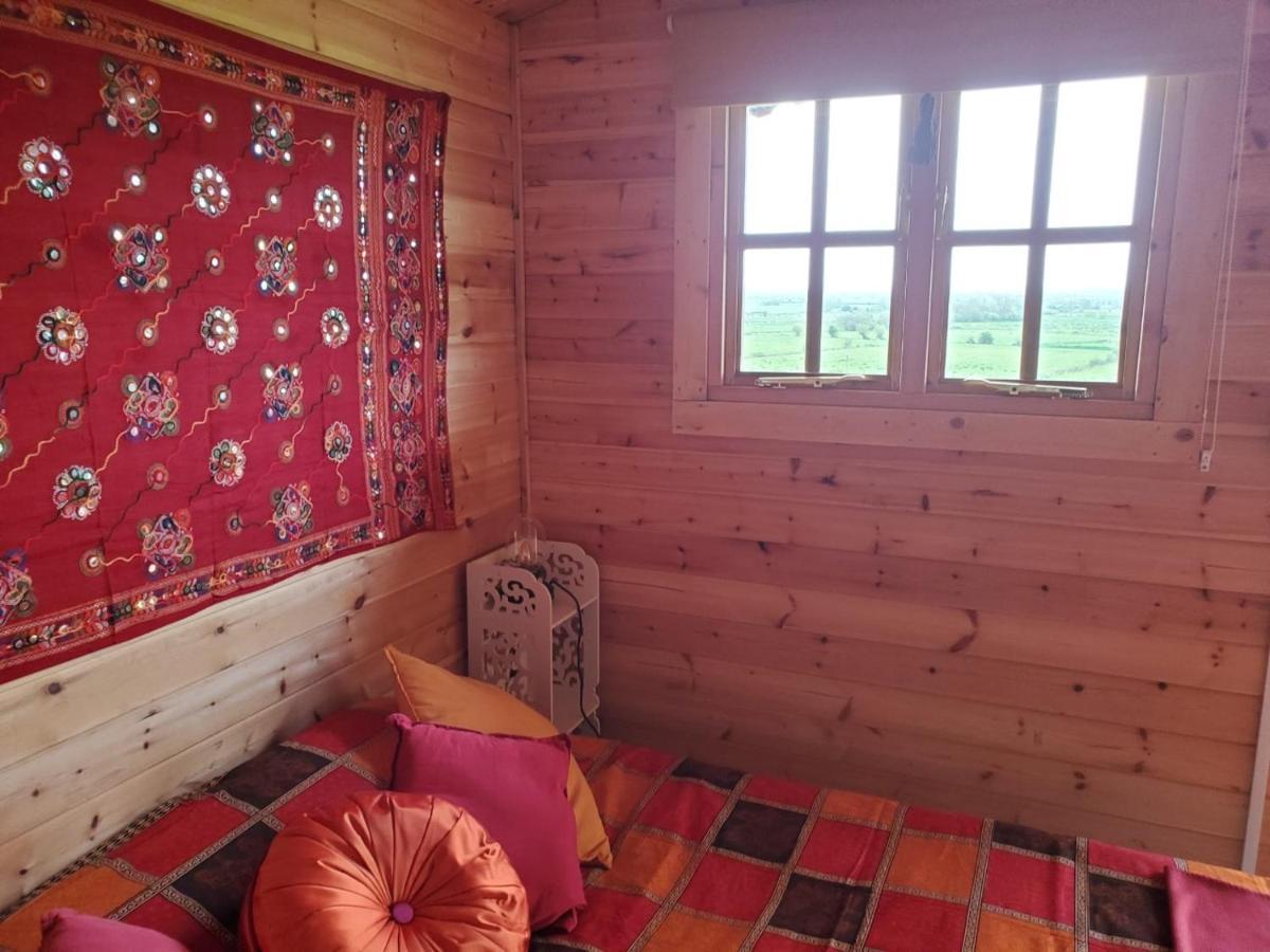 Healing Waters Sanctuary For Exclusive Private Hire And Self Catering Board, Vegetarian, Alcohol & Wifi Free Retreat In Glastonbury Bed & Breakfast Dış mekan fotoğraf